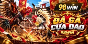 Đá Gà Cựa Dao – Tìm Hiểu Đặc Điểm Và Luật Thi Đấu